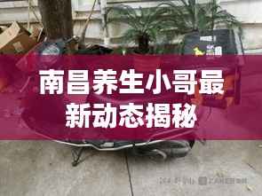 南昌养生小哥最新动态揭秘