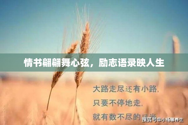 情书翩翩舞心弦,励志语录映人生