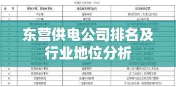东营供电公司排名及行业地位分析