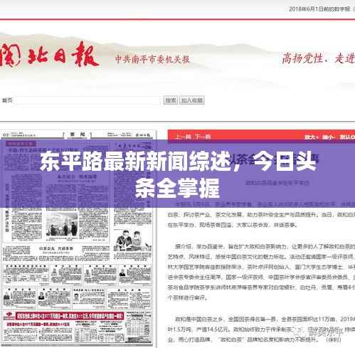 东平路最新新闻综述,今日头条全掌握
