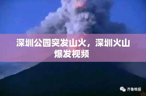 深圳公园突发山火,深圳火山爆发视频