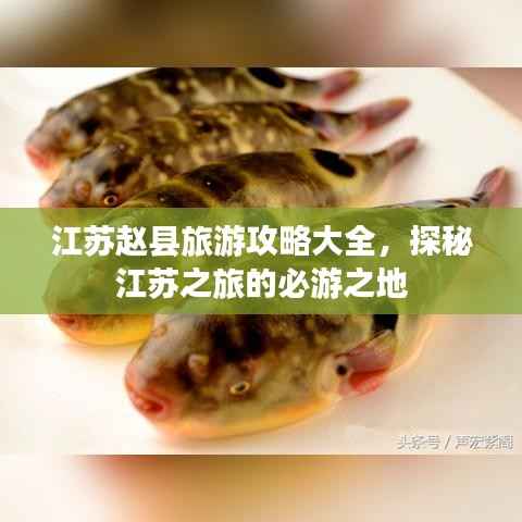 江苏赵县旅游攻略大全,探秘江苏之旅的必游之地