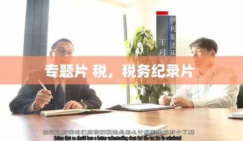 专题片 税,税务纪录片