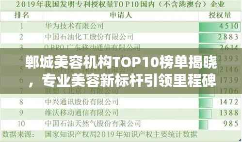 郸城美容机构TOP10榜单揭晓,专业美容新标杆引领里程碑