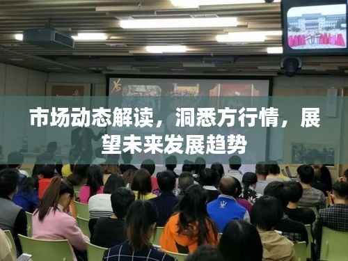 市场动态解读,洞悉方行情,展望未来发展趋势