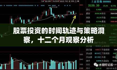 股票投资的时间轨迹与策略洞察,十二个月观察分析