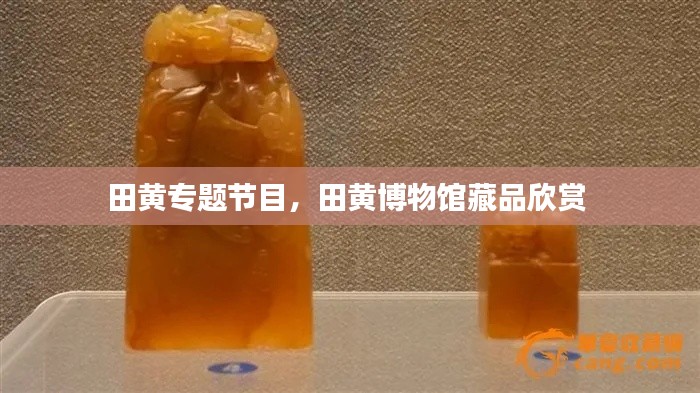 田黄专题节目,田黄博物馆藏品欣赏