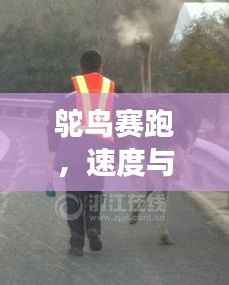 鸵鸟赛跑,速度与优雅的激情竞技之旅