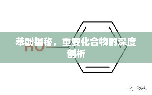 苯酚揭秘,重要化合物的深度剖析