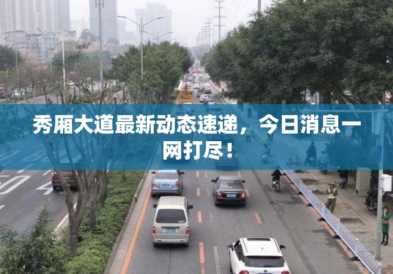 秀厢大道最新动态速递,今日消息一网打尽!