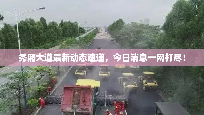 秀厢大道最新动态速递,今日消息一网打尽!