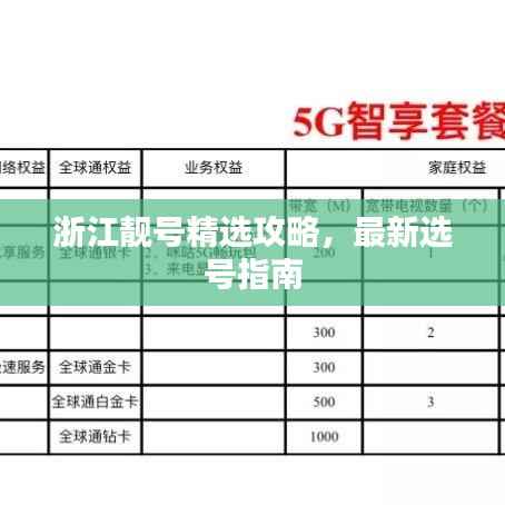 浙江靓号精选攻略,最新选号指南