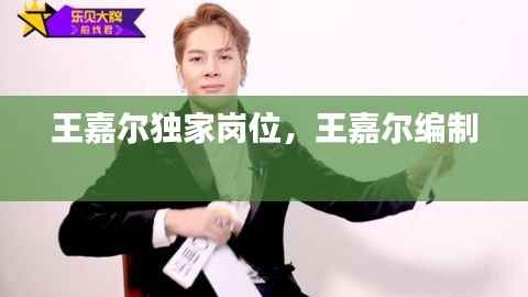 王嘉尔独家岗位,王嘉尔编制