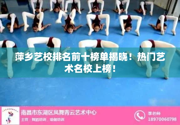 萍乡艺校排名前十榜单揭晓!热门艺术名校上榜!