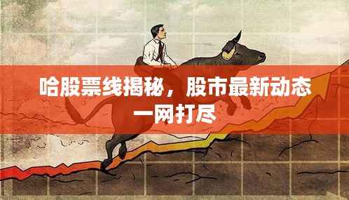 哈股票线揭秘,股市最新动态一网打尽