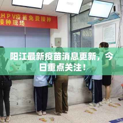 阳江最新疫苗消息更新,今日重点关注!