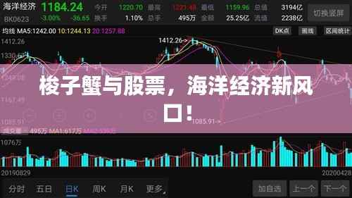 梭子蟹与股票,海洋经济新风口!