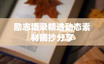 励志语录精选动态素材摘抄分享