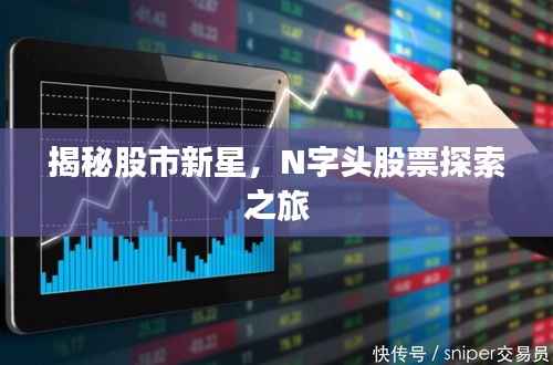 揭秘股市新星,N字头股票探索之旅