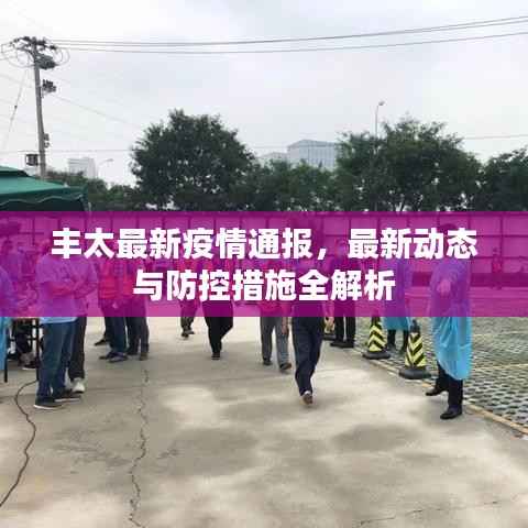 丰太最新疫情通报,最新动态与防控措施全解析