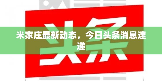 米家庄最新动态,今日头条消息速递