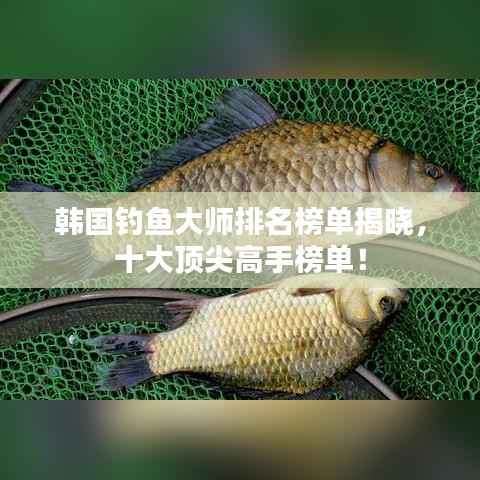 韩国钓鱼大师排名榜单揭晓,十大顶尖高手榜单!