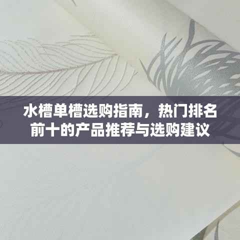 水槽单槽选购指南,热门排名前十的产品推荐与选购建议