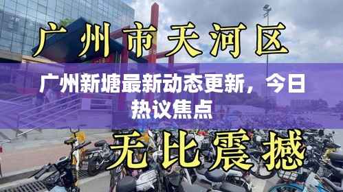 广州新塘最新动态更新,今日热议焦点