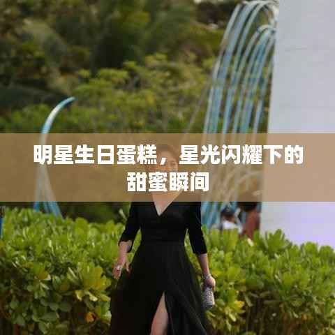 明星生日蛋糕,星光闪耀下的甜蜜瞬间