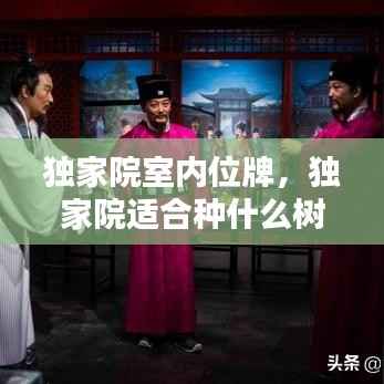 独家院室内位牌,独家院适合种什么树