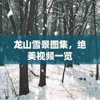 龙山雪景图集,绝美视频一览