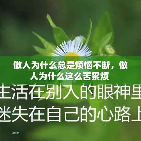 做人为什么总是烦恼不断,做人为什么这么苦累烦