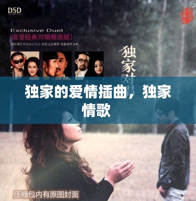 独家的爱情插曲,独家情歌