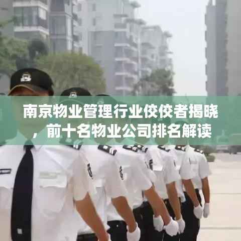 南京物业管理行业佼佼者揭晓,前十名物业公司排名解读