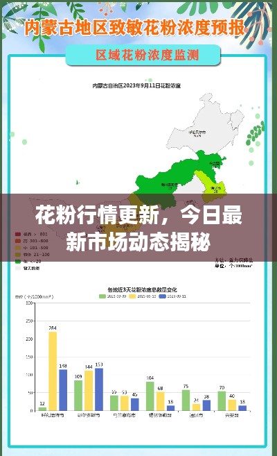 花粉行情更新,今日最新市场动态揭秘