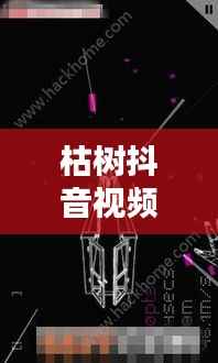 枯树抖音视频,探索最新版视频世界,体验独特魅力