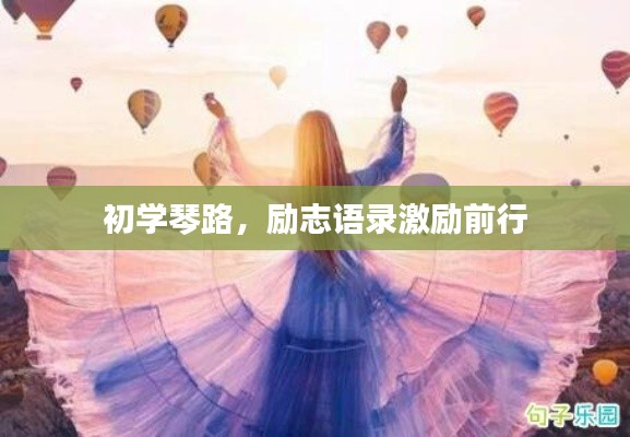 初学琴路,励志语录激励前行