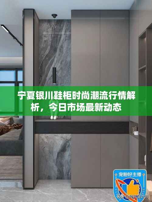宁夏银川鞋柜时尚潮流行情解析,今日市场最新动态