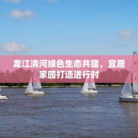 龙江清河绿色生态共建,宜居家园打造进行时